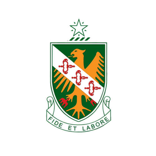 logo-st-john-institution.png